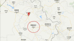 ISIS使出殺人絕招驢子炸彈結果自己哭了(圖)
