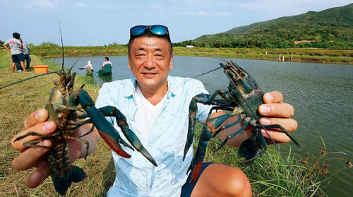 有“台湾龙虾王”称号的陈嘉夫，是全台最大的“澳洲淡水龙虾”养殖业者。