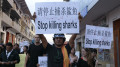 破坏人类遗产中国渔船被索赔360亿美元(图)