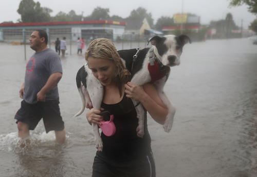 哈维飓风过后，洪水淹没了休斯顿地区。