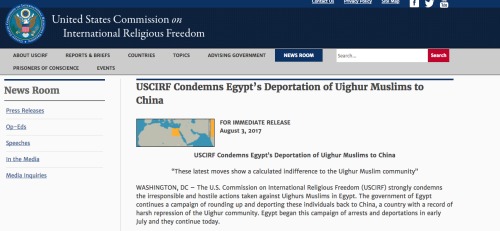 美國譴責埃及強行遣返維族人。