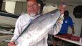食客留心金槍魚產地不同污染差36倍(圖)