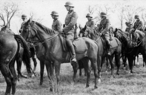 二戰中的德國騎兵。