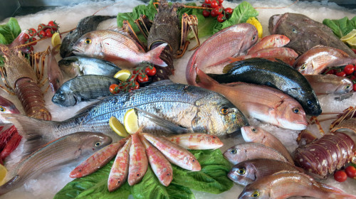 鱼肉含有的各种氨基酸比例与人体需要量十分接近。