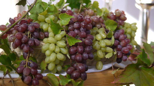 葡萄有很好的食療作用。