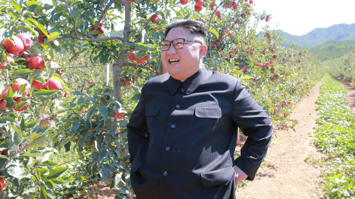 朝鲜领导人金正恩 