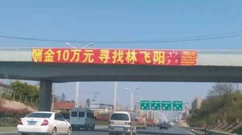 刘青：中国最安全吗？