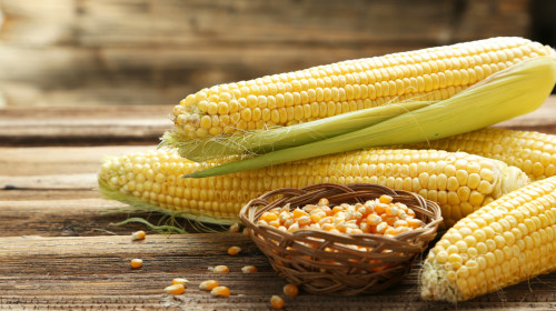 每根玉米或半杯玉米粒差不多含有2克纤维。