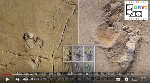 希臘史前人類足跡的化石或重寫人類史