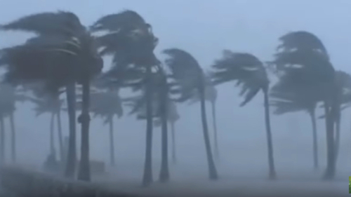 伊玛飓风登陆佛罗里达州前，佛州已经狂风大作。 