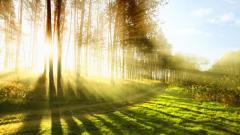 打开生死之门探索灵魂奥秘(5)