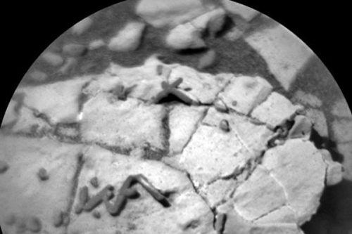 火星惊现不寻常棒状物似生物化石