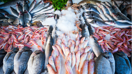 肺结核病人如果食用某些鱼类，可能引起反应，轻者会恶心、头痛。