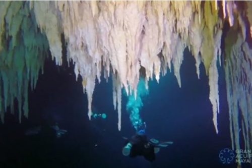 墨西哥发现世界最大水底洞穴