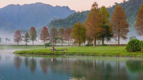 员山福园蜊埤的落羽松美景。