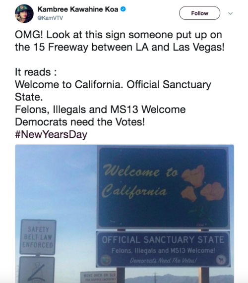 2018年加州正式成为非法移民“庇护州”