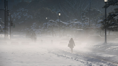 東京從22日上午就開始大規模降雪，這在過去多年都很少見，積雪至今日已經達到23公分，尚屬4年來首次。給民眾出行帶來很大不便，人們要小心翼翼地走路。(16:9) 