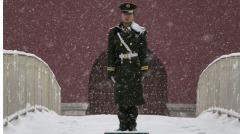 國務院集體缺席修憲座談曝「憲法頂個球」內幕(組圖)