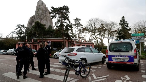 2018年1月26日，警察在巴黎动物园外进行巡逻，有将近50名狒狒从动物园中逃走。