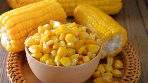 许多甜玉米都经过了转基因处理。