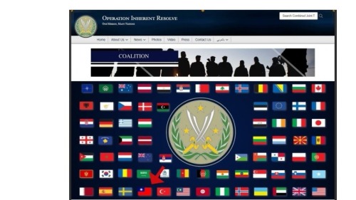 「堅定決心」官網，在「聯盟（COALITION）」的連結網頁之中，臺灣國旗已出現在頁面中。
