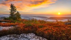 特异功能和另外空间的奥秘(图)