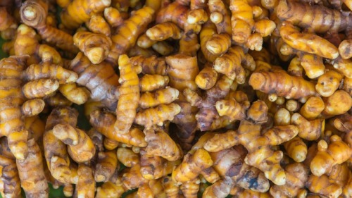 腐烂的生姜里有“黄樟素”，毒性很强，不要再吃。