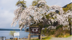 《济公》精选:济公智打恶都管(图)