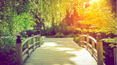 妖道乞鱼袁枚姐夫家閙鬼(图)