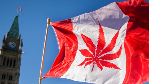 加拿大國旗示意圖