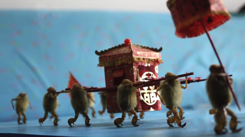 风靡北京！为何人人都爱这个毛猴？