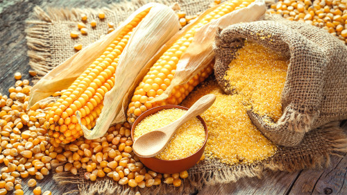 玉米等淀粉含量高的食物，一旦霉变可能产生黄曲霉菌，最好扔掉。