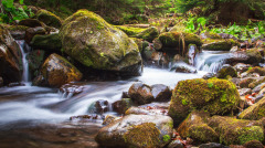 醉酒的老汉能平安过河他是如何过的河(图)