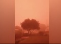血色天空笼罩大地罕见沙尘暴袭击南非(组图视频)