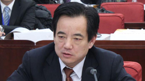 北京市朝阳区政协原副主席汪洋。