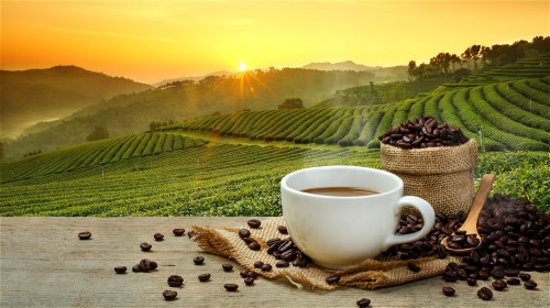 咖啡可以抗氧化和抗炎，對降低膽固醇和高血壓有神奇的功效。