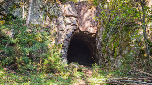  天然洞穴里藏了许多的动物和昆虫。