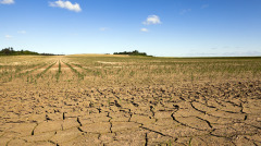 大旱中的一曲悲歌宁死勿屈为保人格(图)