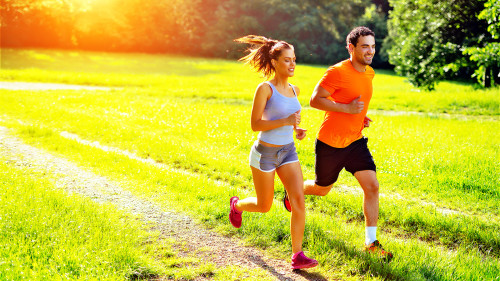 运动可以帮助提高基础代谢率，调理体质。