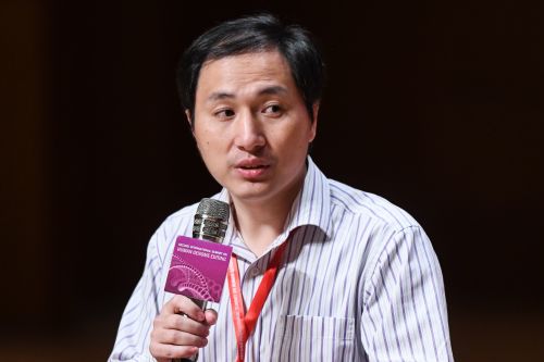 賀建奎11月28日出席在香港大學舉行的第二屆人類基因組編輯國際峰會。