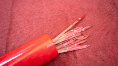 珍珠丢了测字找失物原来在大雄鸡的肫里(图)