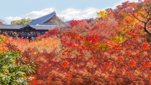 日本东福寺的红叶。