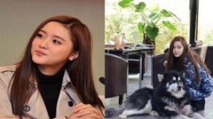 國企集體換帥「80後90後」執掌董座真容曝光(組圖)