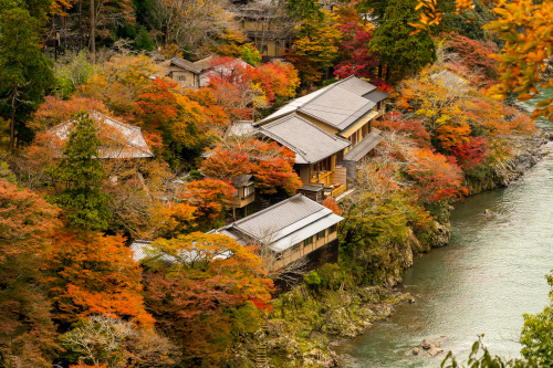 日本的紅葉景觀，大體分為自然原野紅葉美景和人文庭院紅葉景觀。