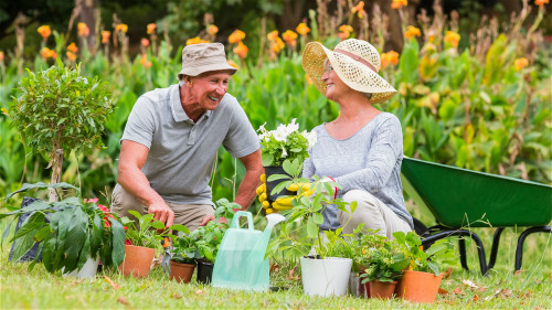 小至做家务、园艺只要有适度的体力活动，就能帮助降低10%大肠癌风险。