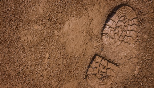 2亿年前的脚印是谁踩上去的？