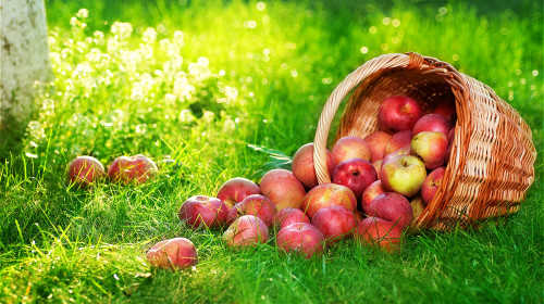 苹果含有促进脂肪分解的物质，能有效降低血液中脂肪，减少血栓的形成。