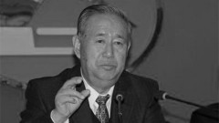 传前中国副总理隐居美国央视嫩妻照片曝光(组图)