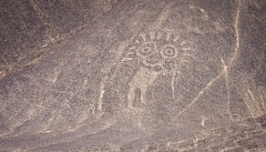 秘鲁巨型地面图形为何而绘制(图)