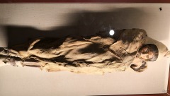 数千年之前的“楼兰美少女”之迷(图)